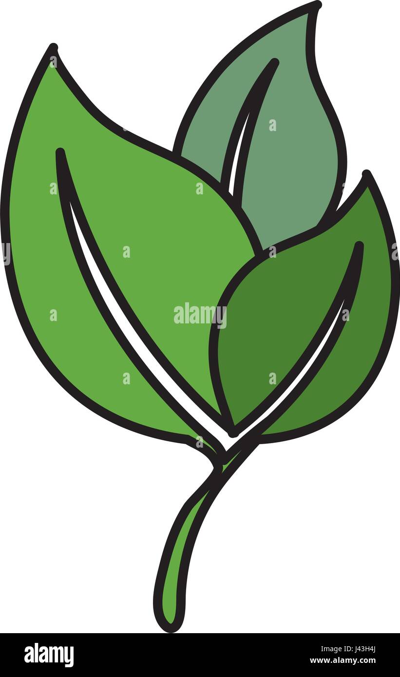 leafs plant ecology icon Stock Vector Image & Art - Alamy