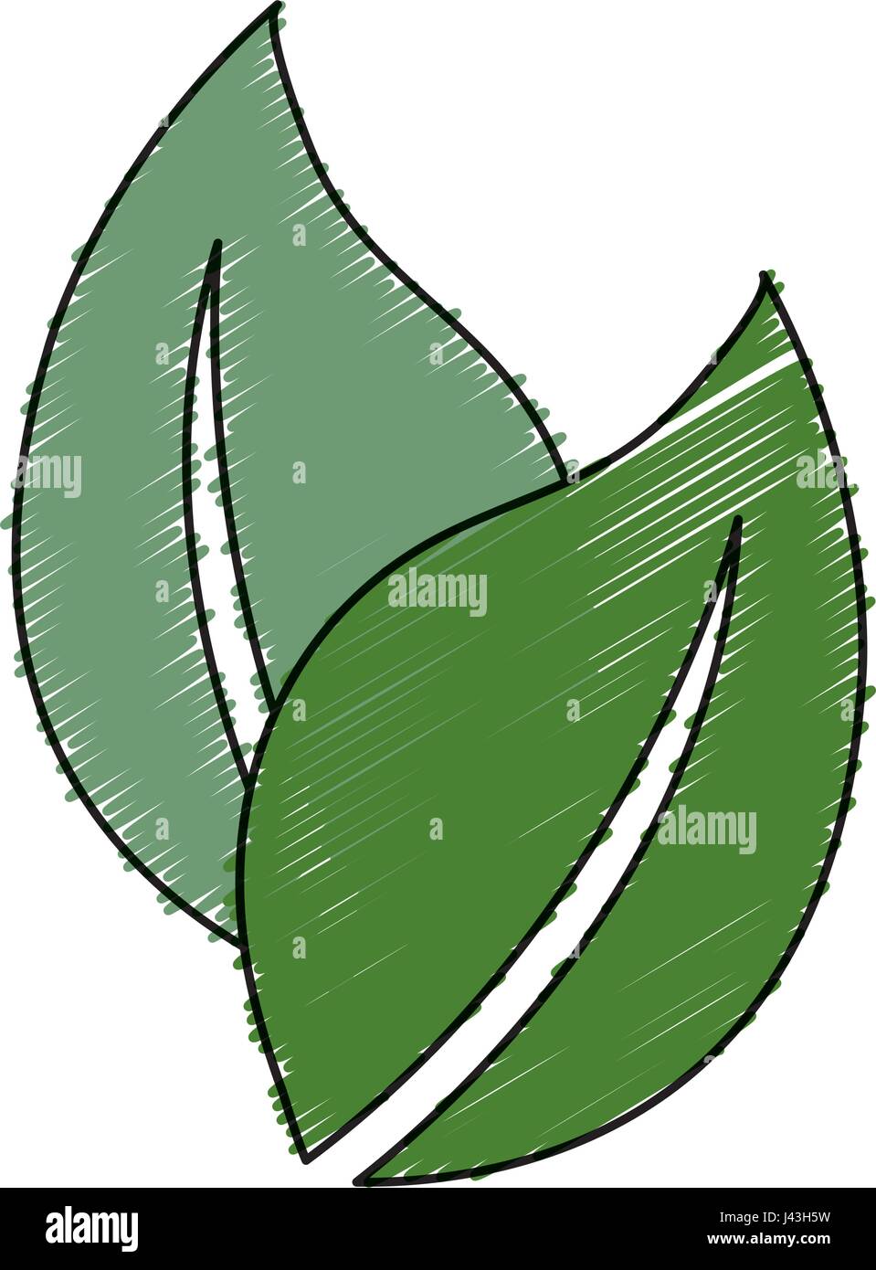leafs plant ecology icon Stock Vector Image & Art - Alamy
