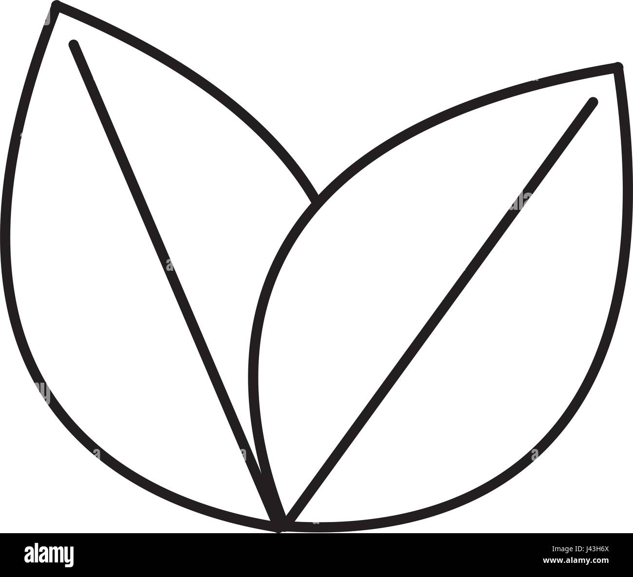 leafs plant ecology icon Stock Vector Image & Art - Alamy