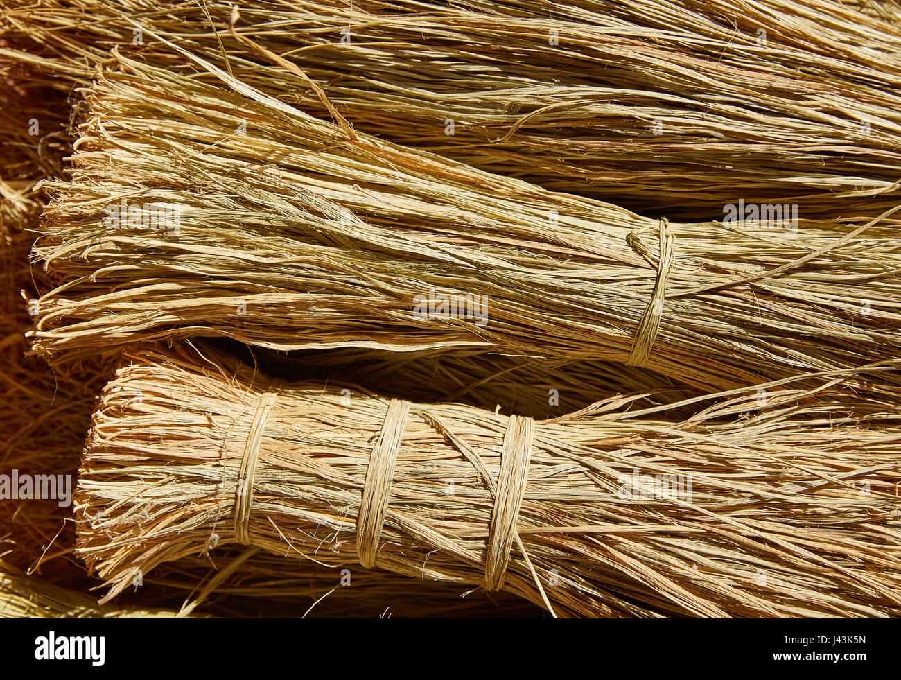 Page 2 - Cesteria High Resolution Stock Photography and Images - Alamy