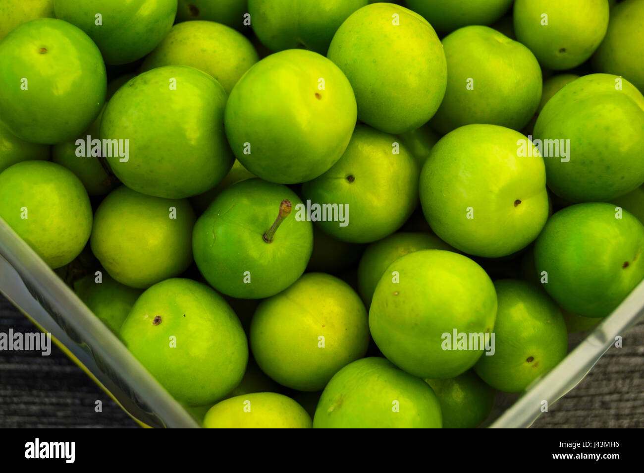 Sour green plum, the most wonderful and mouth watering sour plums Stock