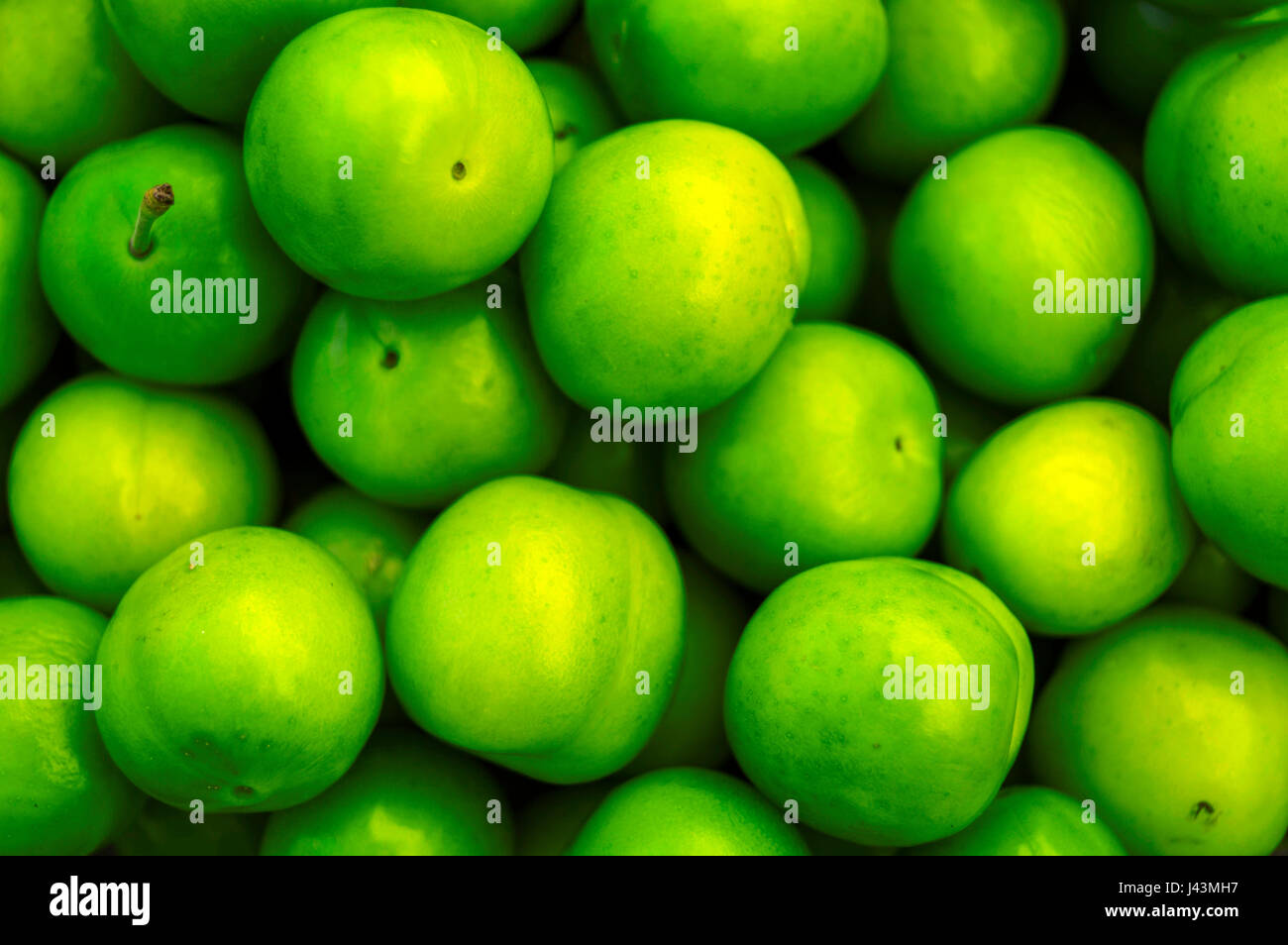 Sour Plums Stock Photos & Sour Plums Stock Images Alamy