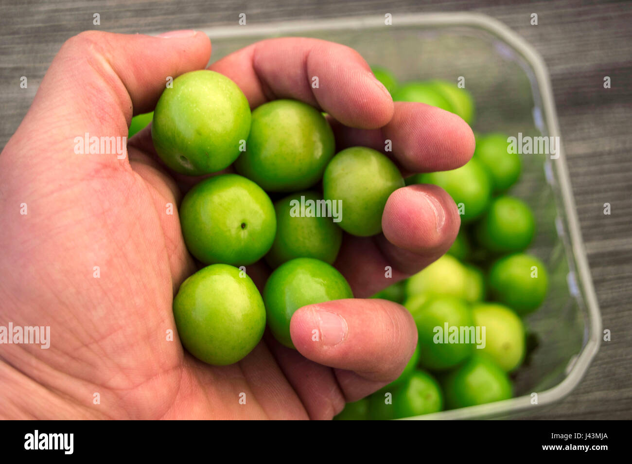 A handful of sour plums, Salt and plum food is very tasty. There are a