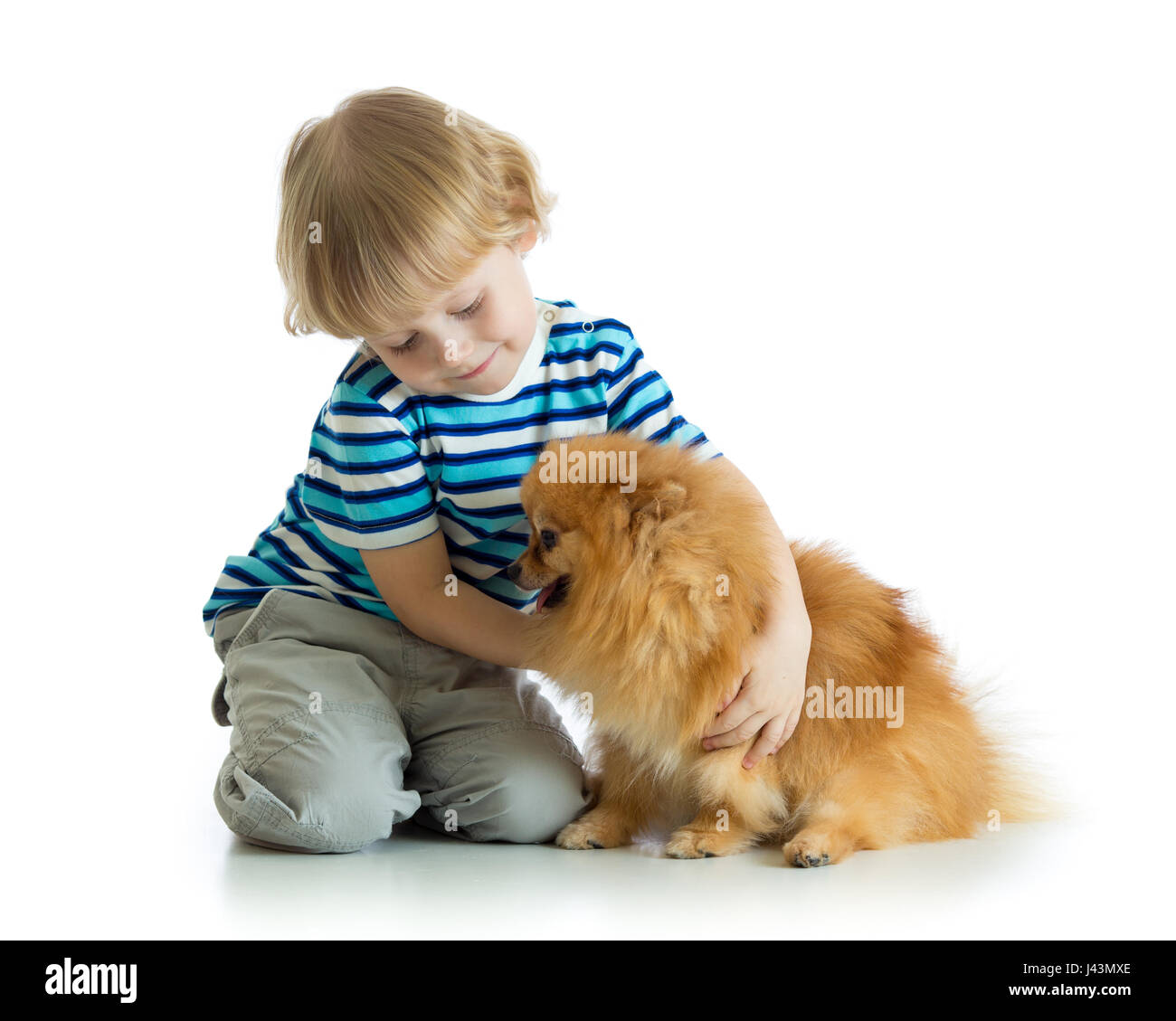 Kid boy hugging dog spitz isolated on white background Stock Photo