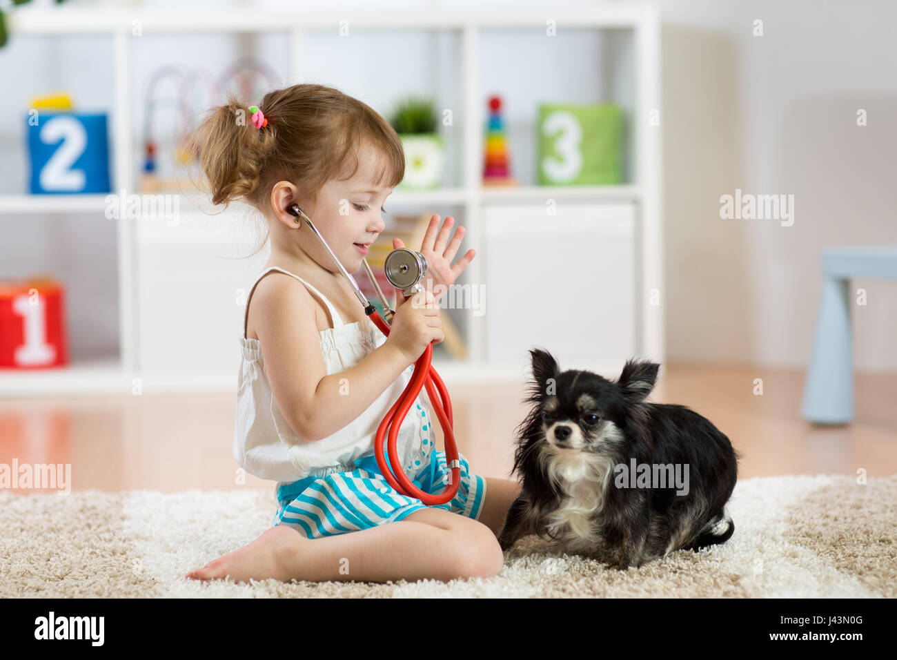 Little girl playing doctor with her small cute dog in the living room