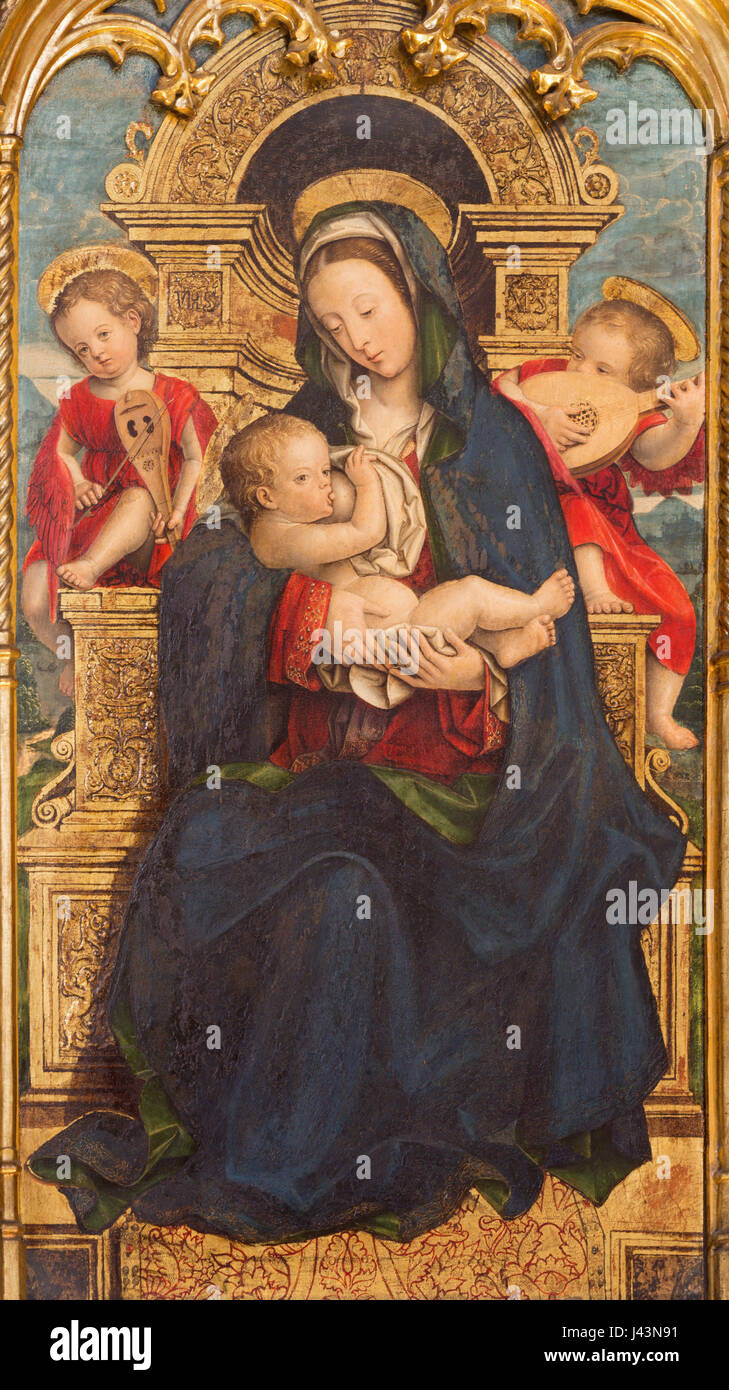 TURIN, ITALY - MARCH 13, 2017: The painting of The Nursing Madonna in ...