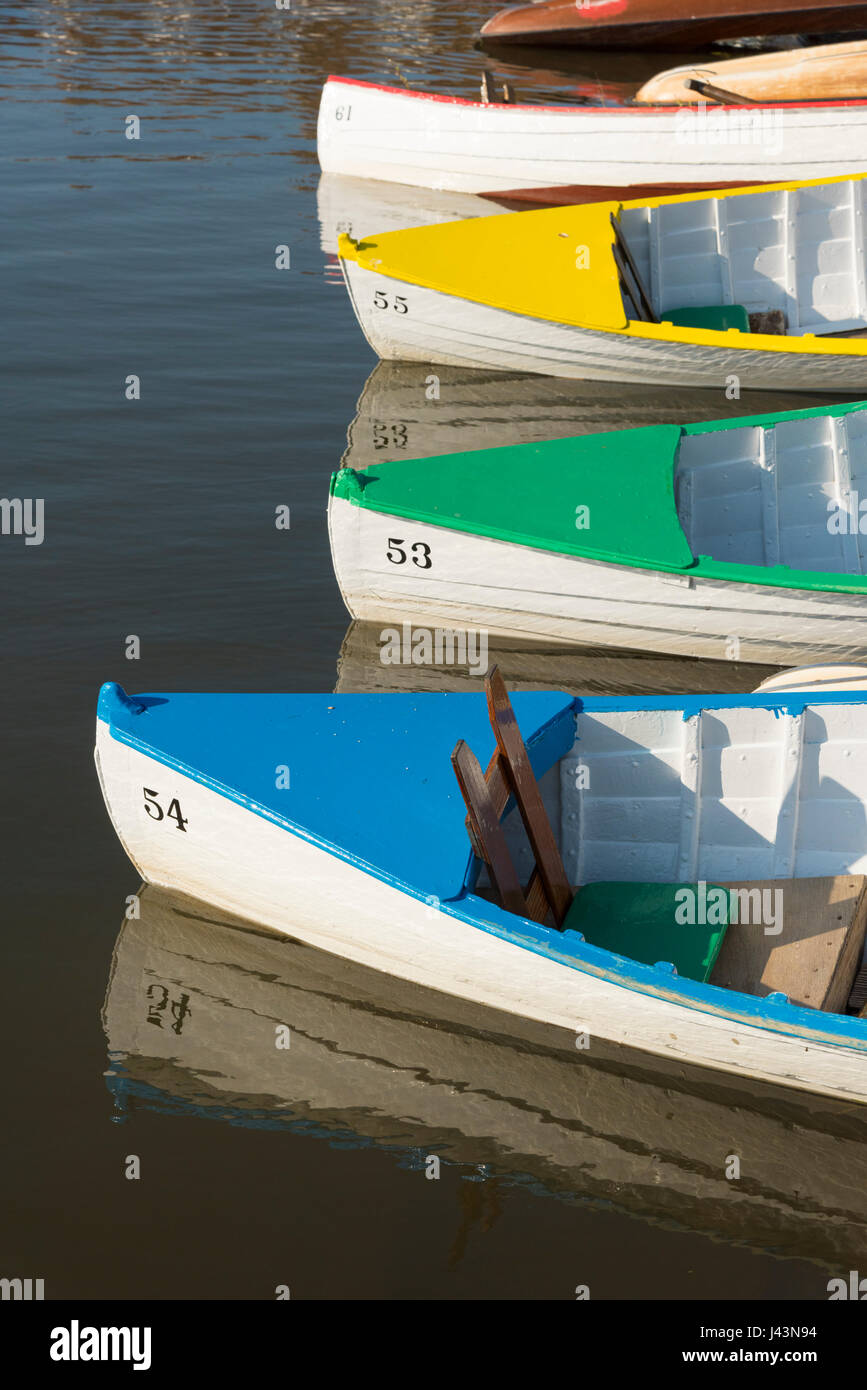 Brightly coloured wooden canoes moored in evening sun at the Meare