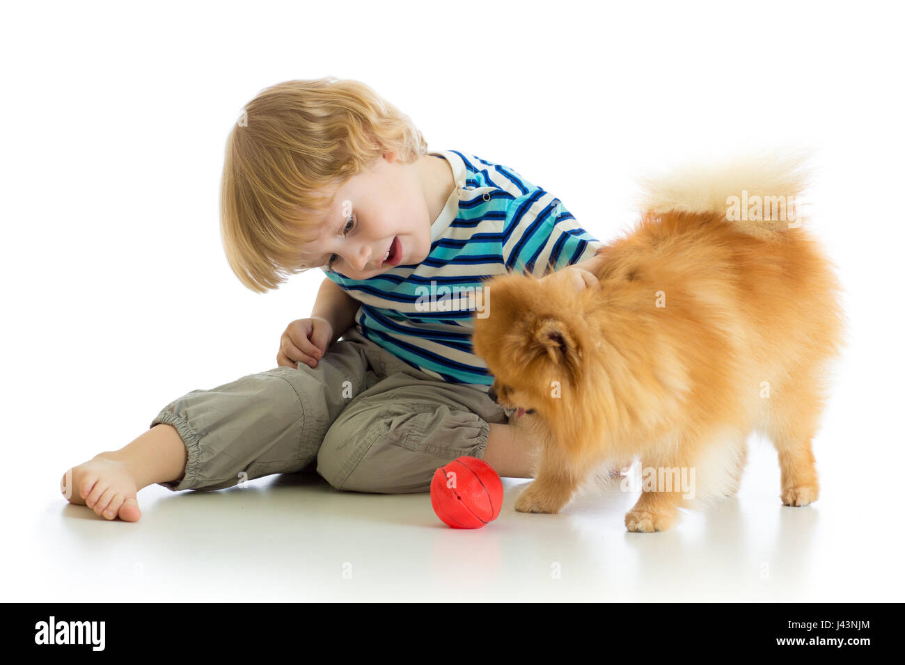 Little boy playing with dog, isolated on white background Stock Photo