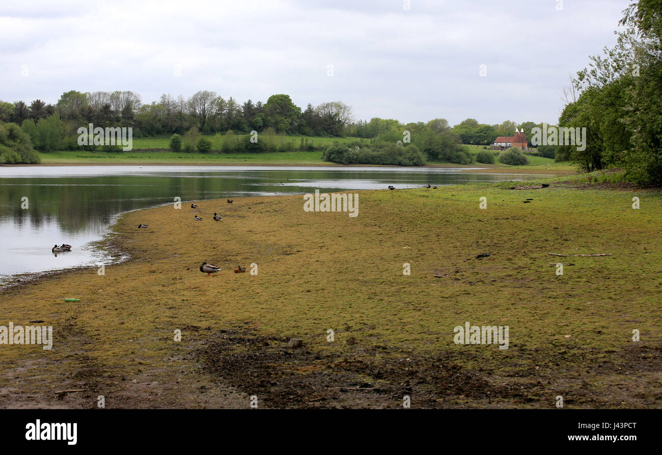 The low water level at Bewl Water reservoir near Lamberhurst in Kent as fears grow for a summer drought, following one of the driest winters in the past two decades. Stock Photo
