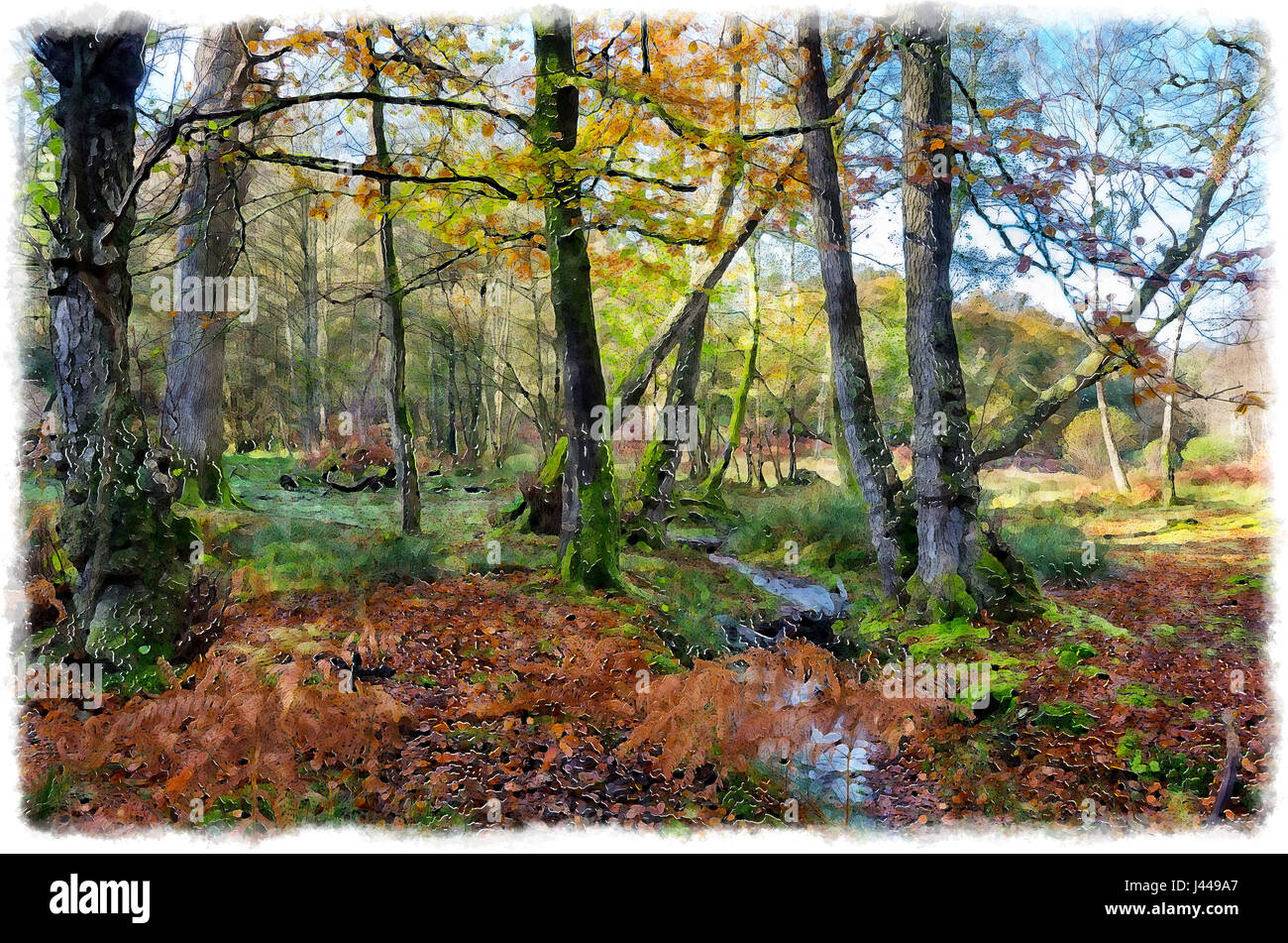 A water colour painting of Autumn in ancient woodland at Bolderwood in the New Forest National Park Stock Photo