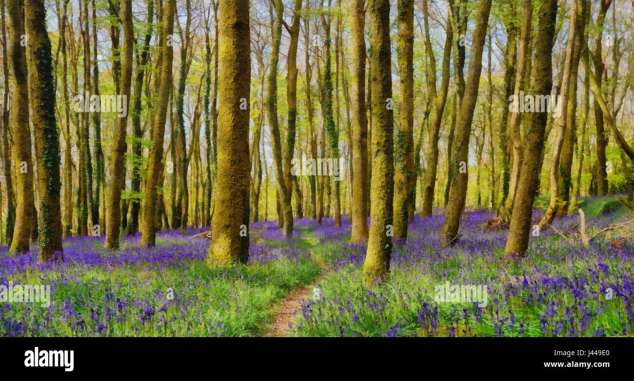 An oil painting of bluebell woods Stock Photo