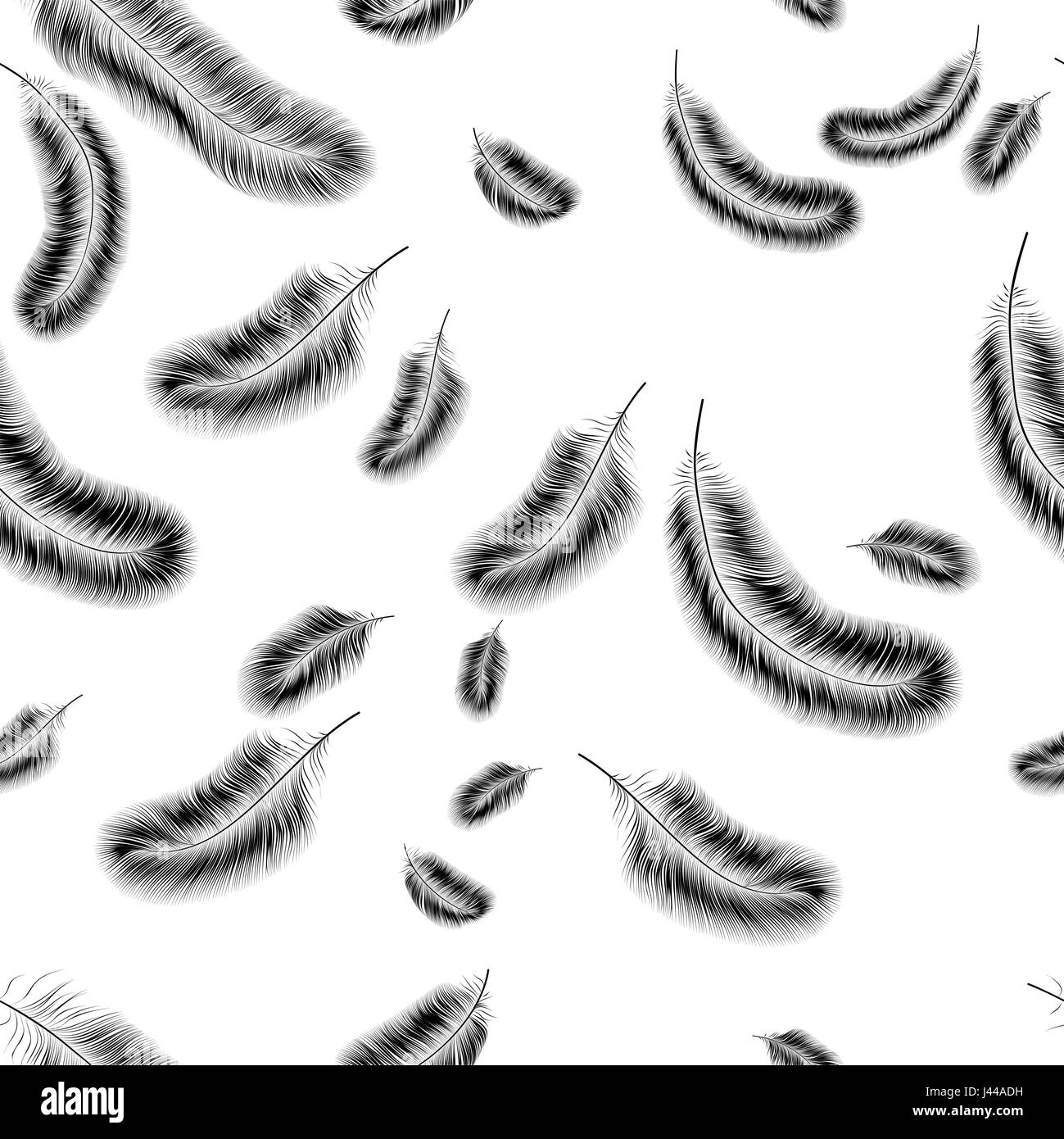 Delicate seamless background of black feathers on a white background ...