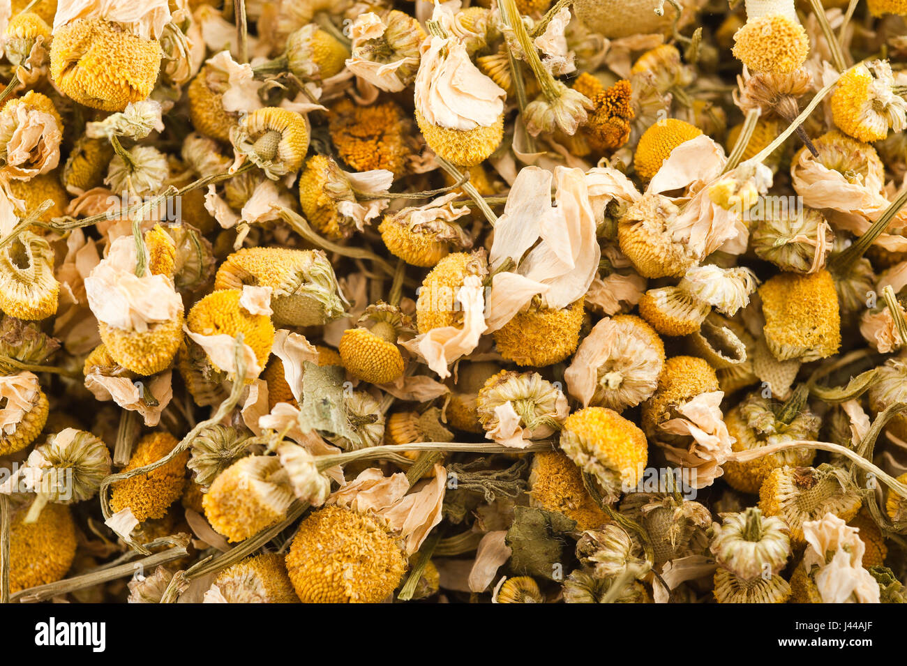 Chamomile background with dried flowers Stock Photo - Alamy