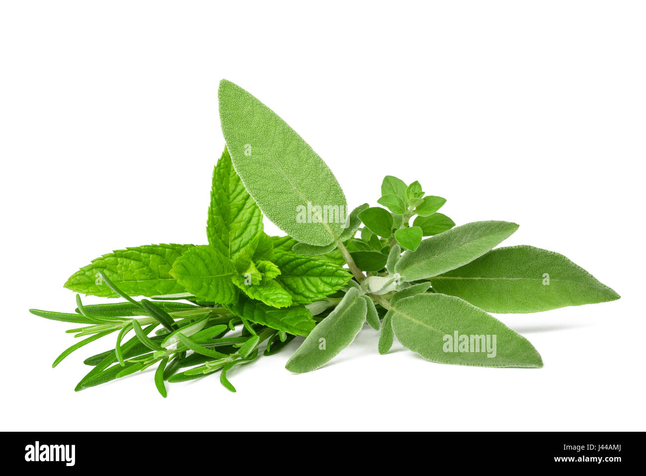 Fresh spices and herbs isolated on white background Stock Photo
