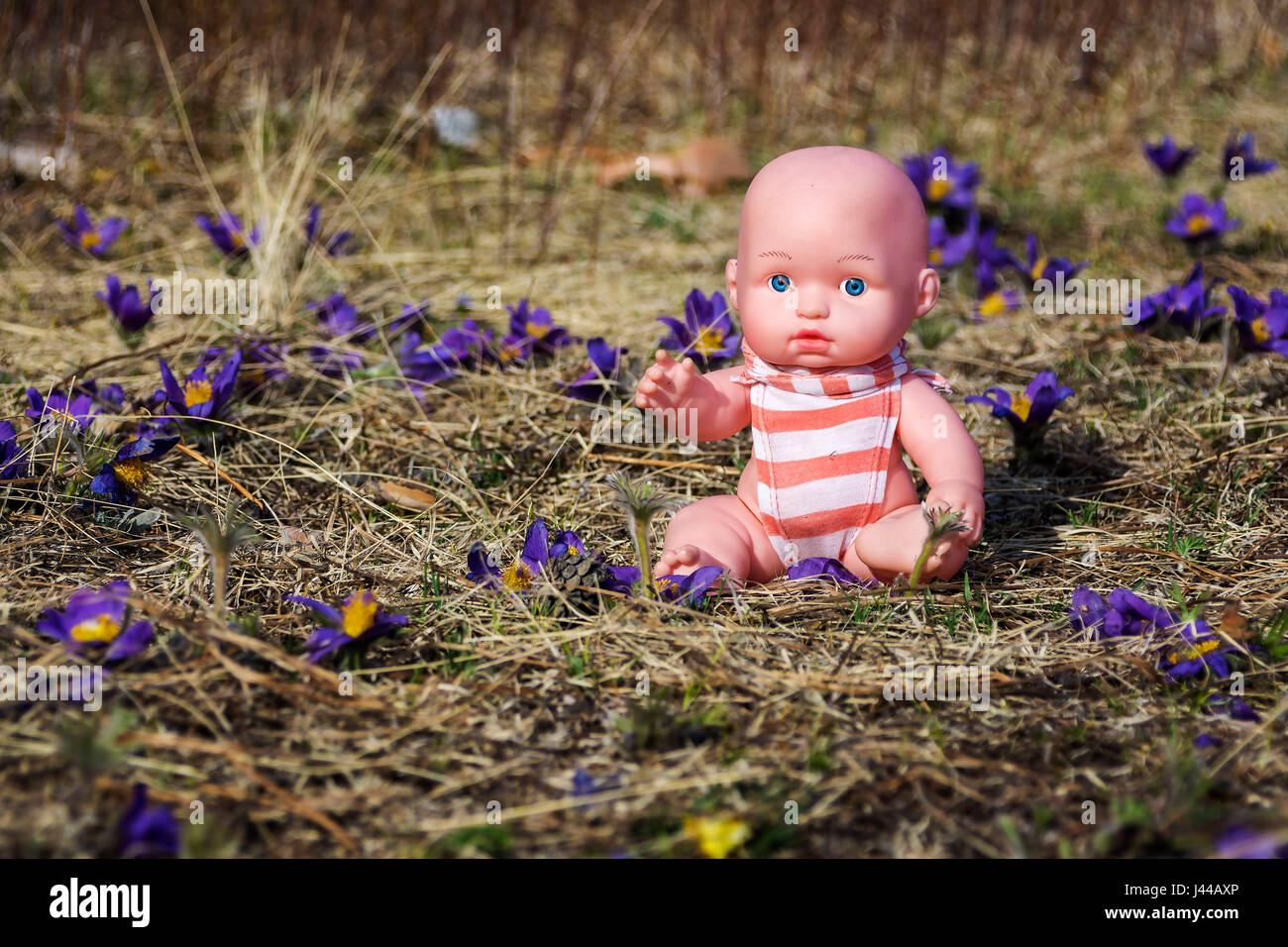 Doll in flowers field. Spring flowers Stock Photo