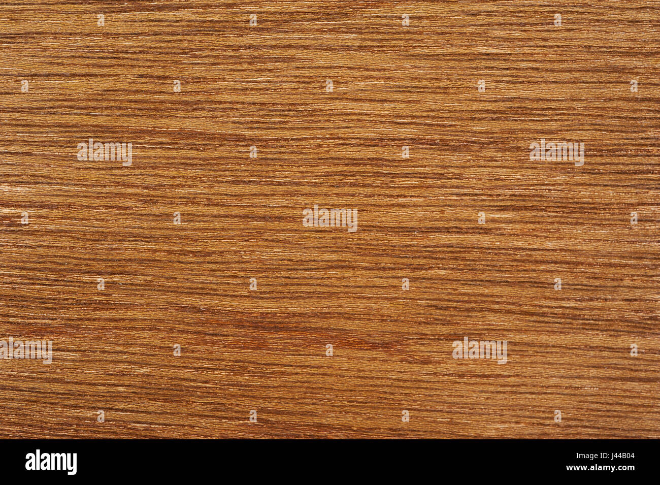 Close up texture of wood background Stock Photo