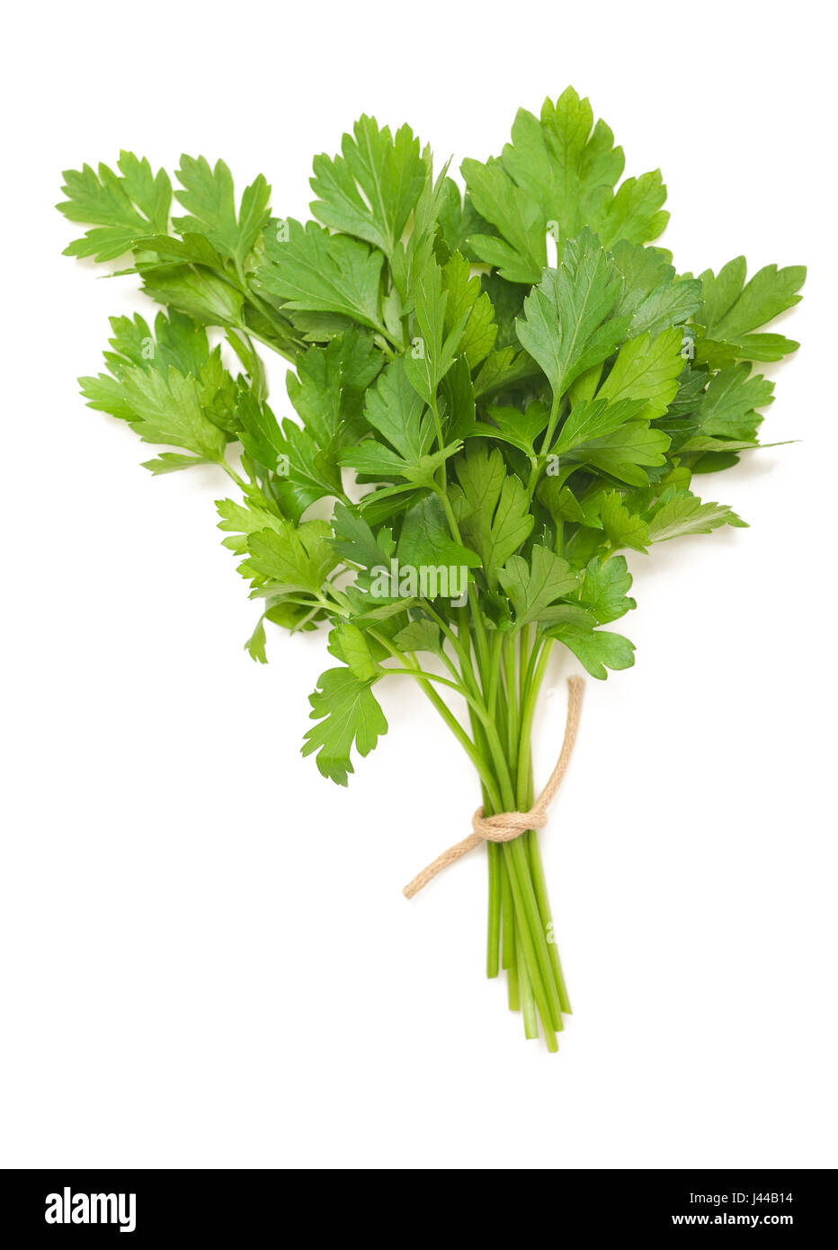 parsley bunch isolated on white background Stock Photo Alamy