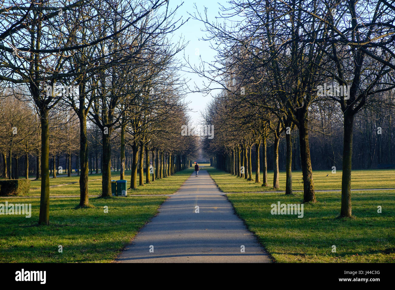 Milan (Lombardy, italy): a path in the Parco Nord at winter Stock Photo