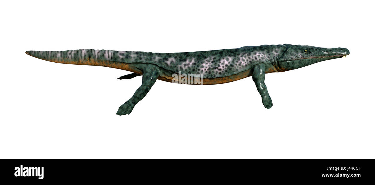 3D rendering of a died animal Archegosaurus isolated on white ...