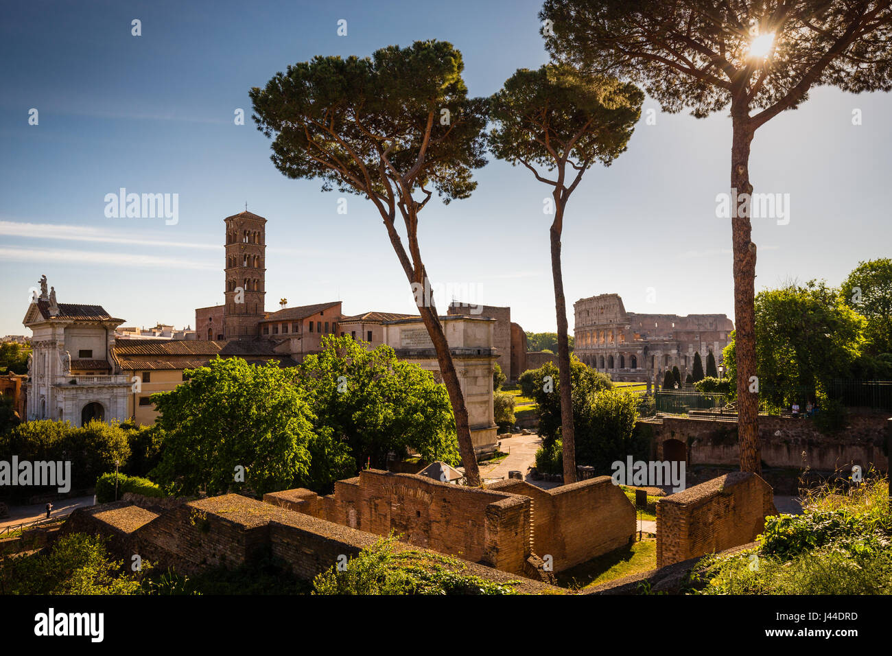 Colosseum forum romanum hi-res stock photography and images - Alamy