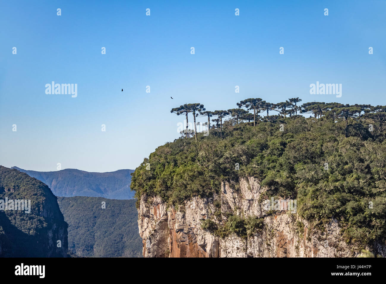 Itaimbezinho Canyon at Aparados da Serra National Park - Cambara do Sul