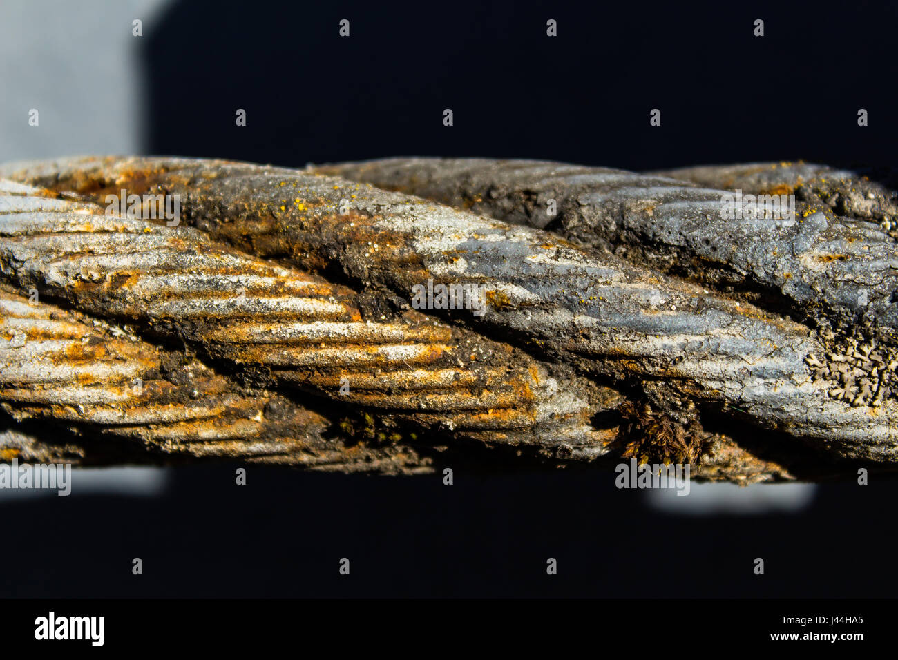 Thick steel rope close up. Bridge fence element. Detailed view. The surface of the steel cable is covered with rust and moss. Spring sunny day. Stock Photo