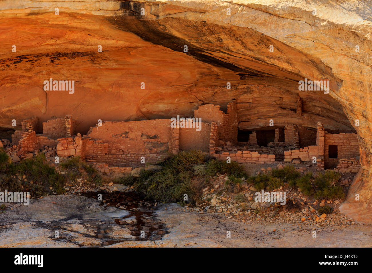 This is a view of a large cliff dwelling at the Butler Wash Ruin in Bears Ears National Monument, San Juan County, Utah, USA. Stock Photo