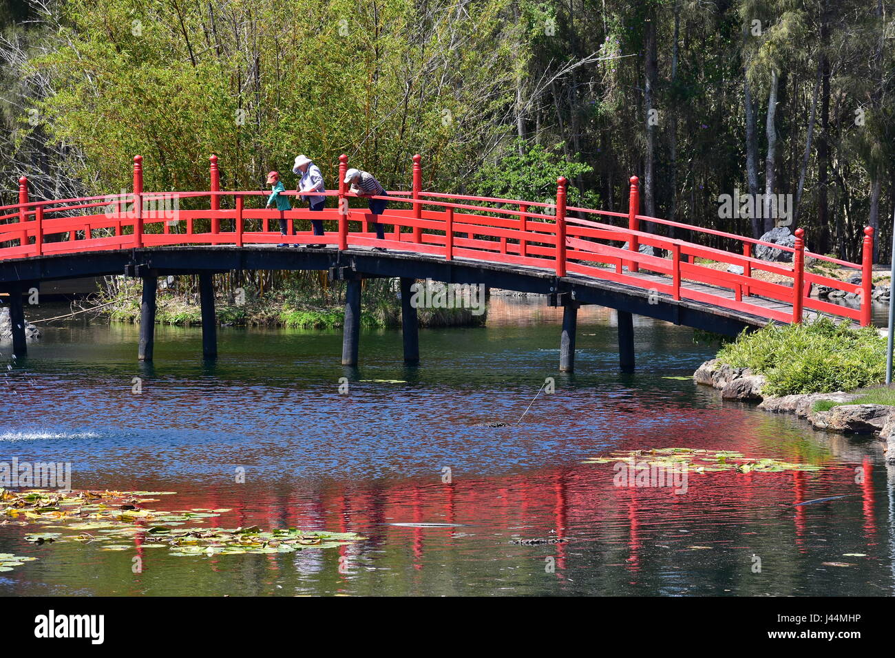 Red wooden bridge over pond in Port Macquarie Gardens creating