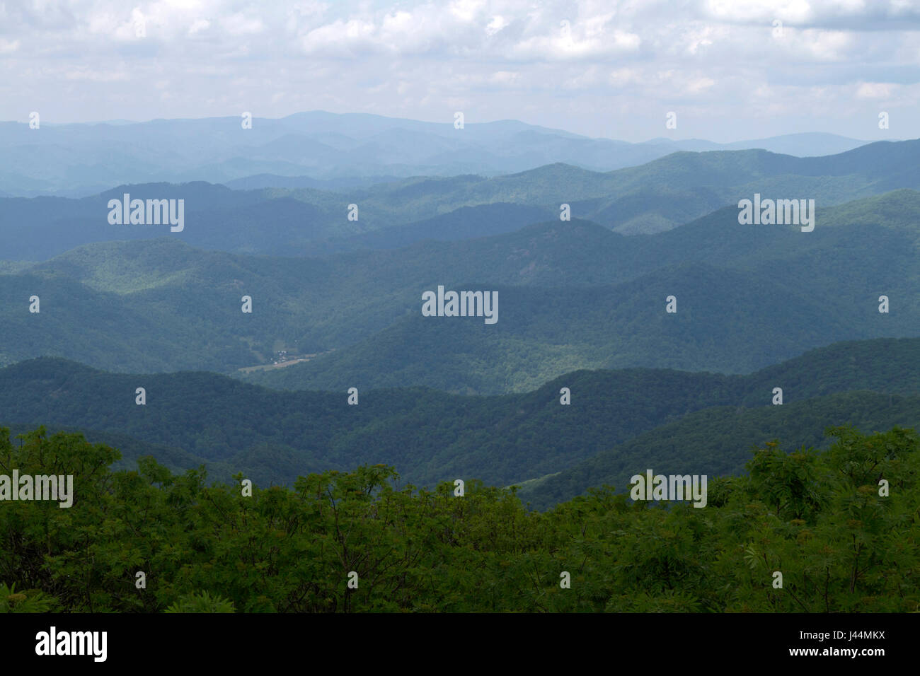 View of the seemingly endless, scenic Appalachian Mountains covered in a deep green and blue summer forest on a cloudly day Stock Photo