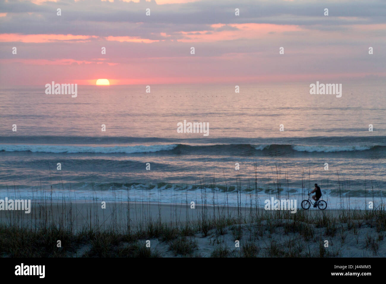 First blush hi-res stock photography and images - Alamy