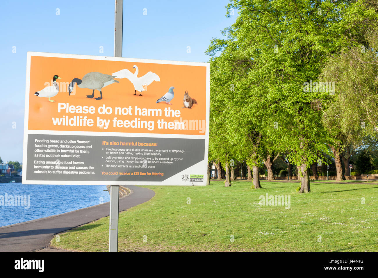 Don't feed the birds or animals. Sign saying 'Do not harm the wildlife by  feeding them'. River Trent, Nottingham, England, UK Stock Photo - Alamy