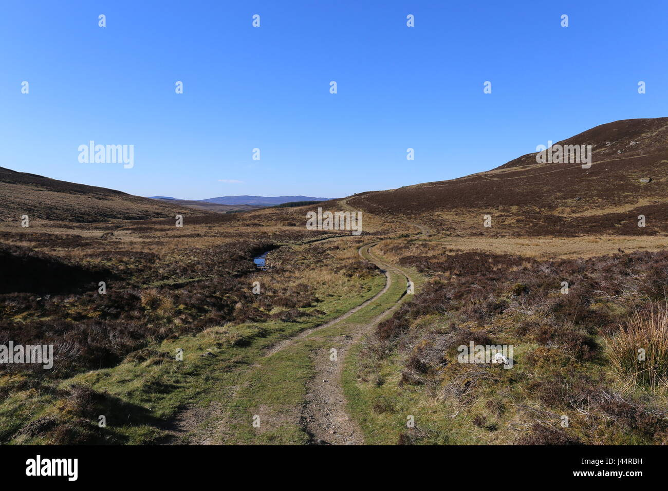 Cateran Trail leading to Enochdhu Scotland May 2017 Stock Photo - Alamy