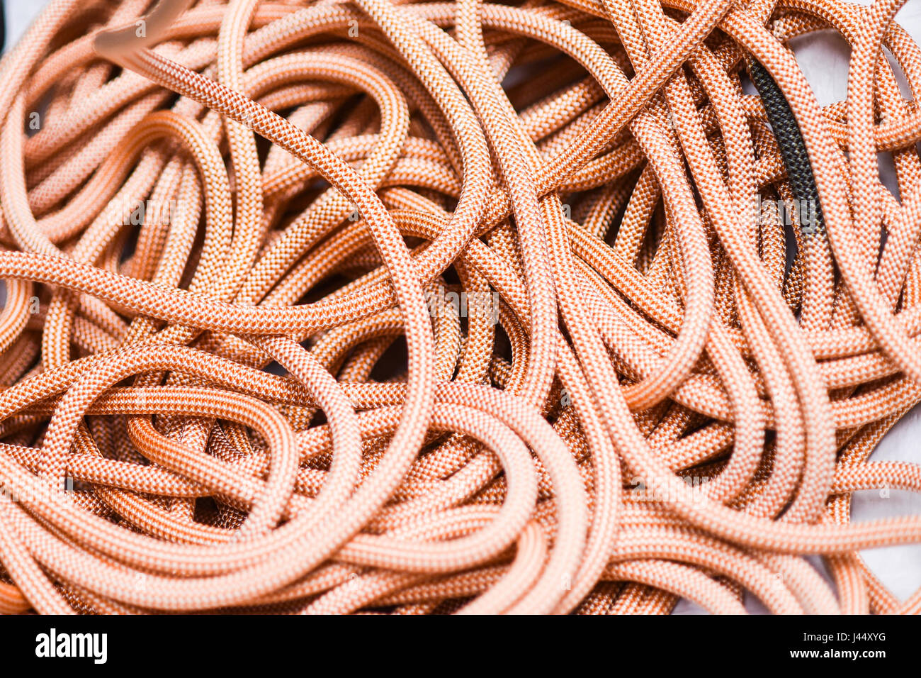 New climbing rope lying on a white background Stock Photo Alamy