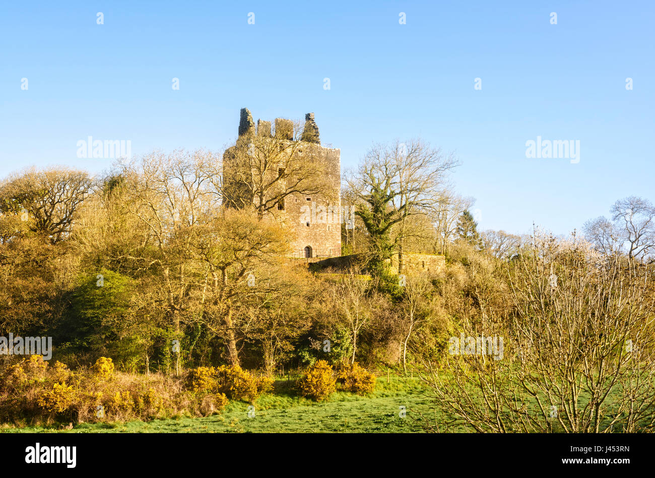 Cardoness Castle 15th-century tower house near Gatehouse of Fleet in Dumfries & Galloway  Scotland Stock Photo