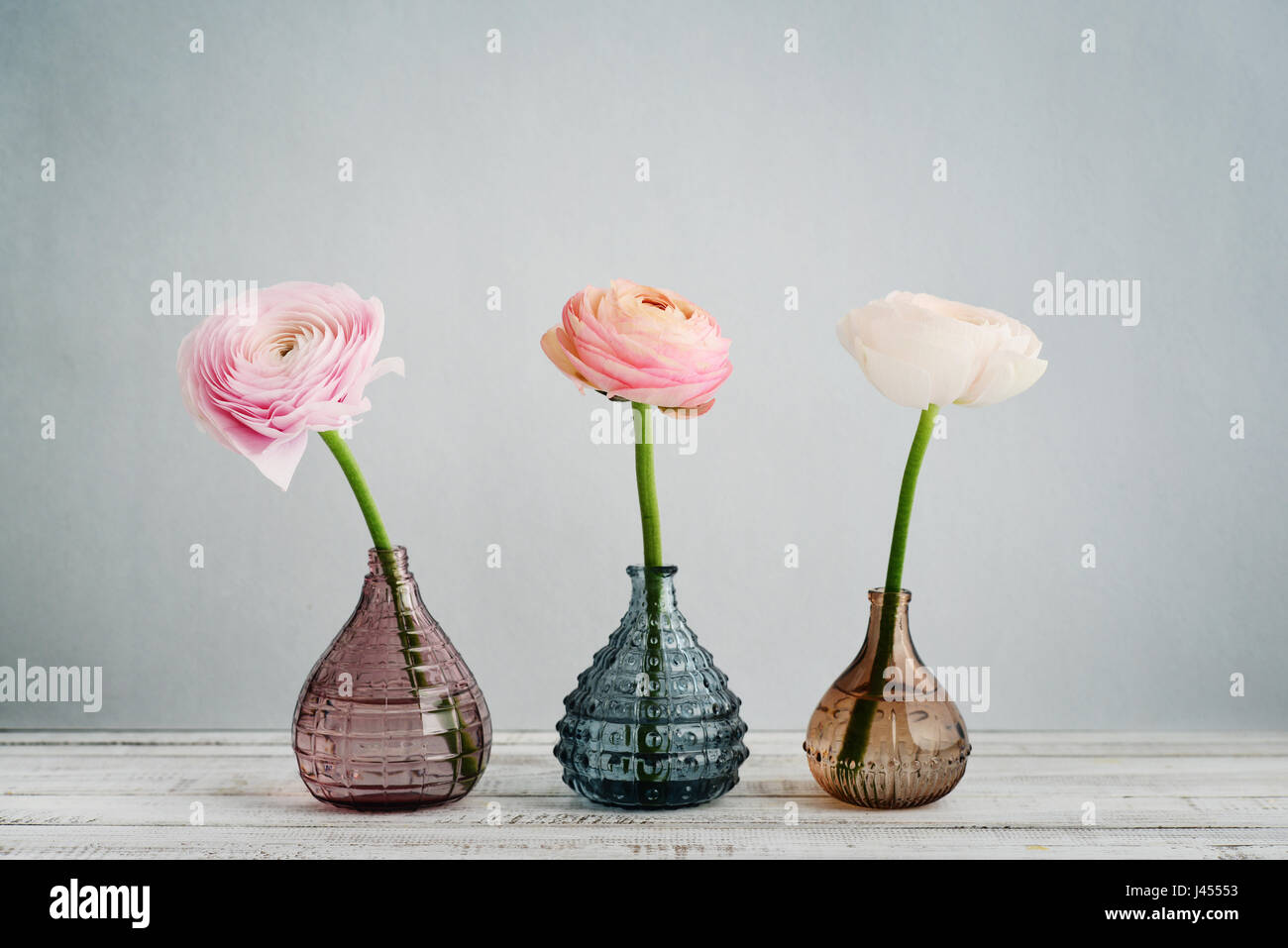 Persian buttercup flowers (ranunculus)  in vases on blue background Stock Photo