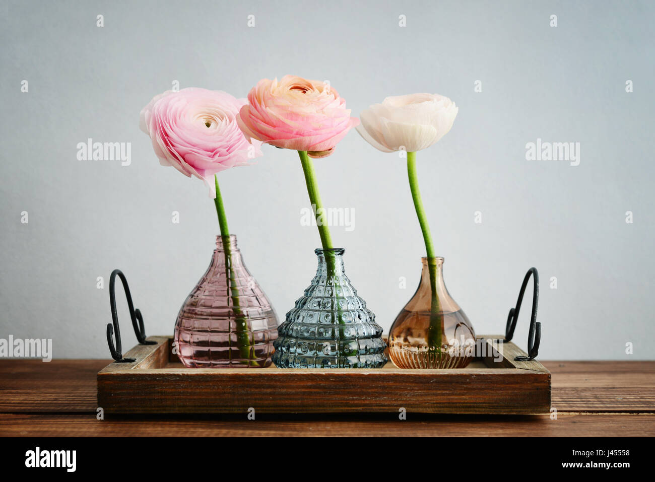 Persian buttercup flowers (ranunculus)  in vases on blue background Stock Photo