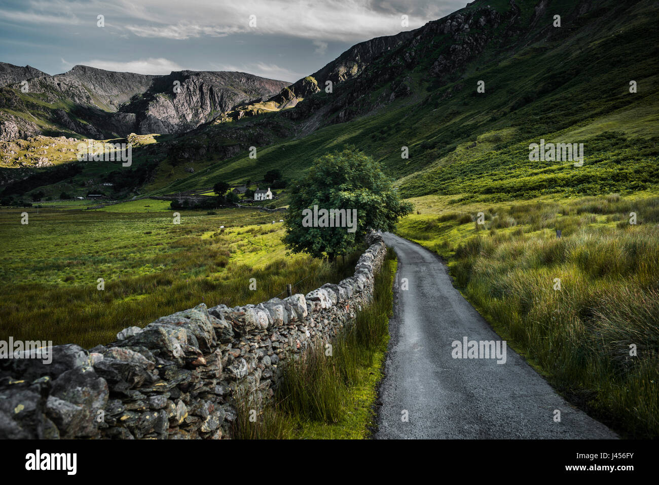 A distant farmhouse at the end of single track tarmac road in a lush valley in Snowdonia, Wales, UK. Derek Hudson / Alamy Stock Photo Stock Photo