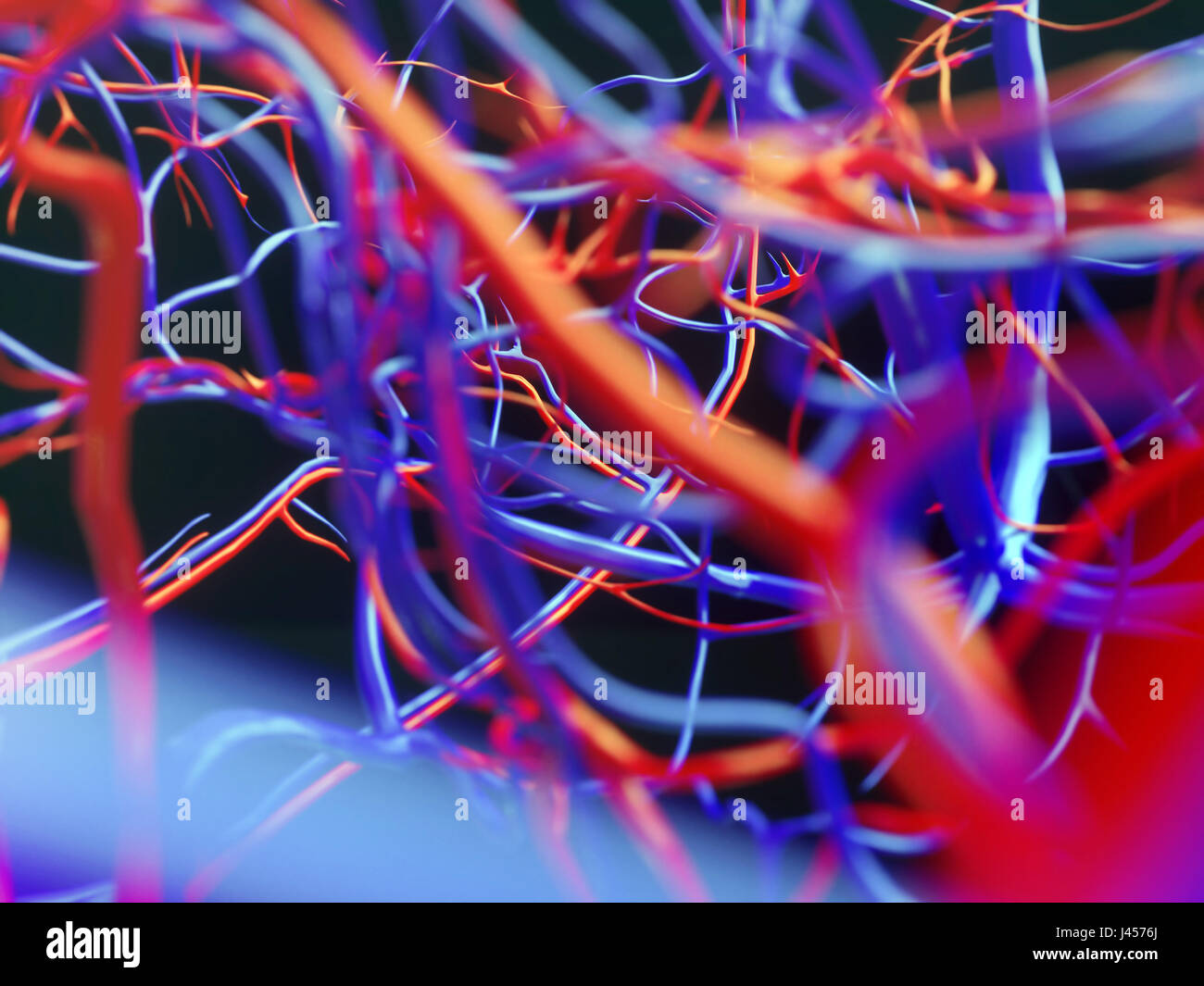 Blood vessels of a human - close-up - 3D Rendering Stock Photo - Alamy