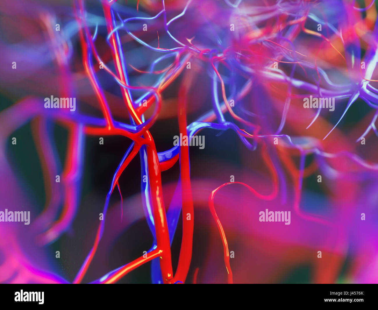 Blood vessels of a human - close-up - 3D Rendering Stock Photo - Alamy