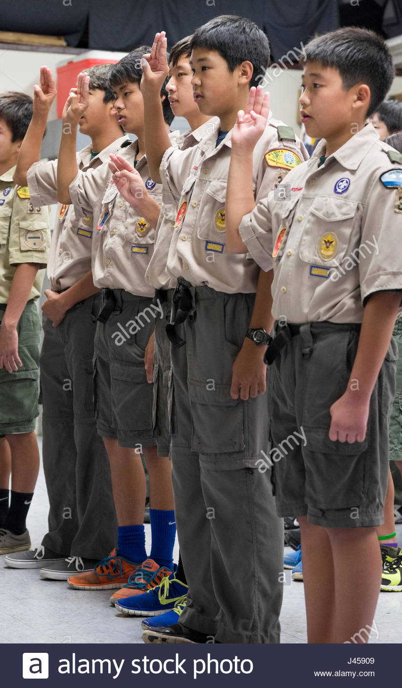 Boy Scout Scouts Standing High Resolution Stock Photography and Images