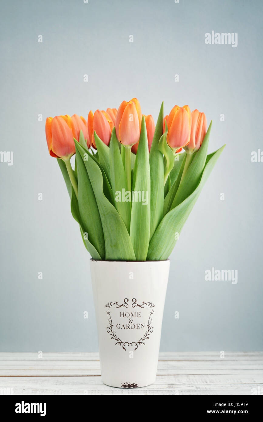 Red yellow and blue flowers in vase hi-res stock photography and images ...