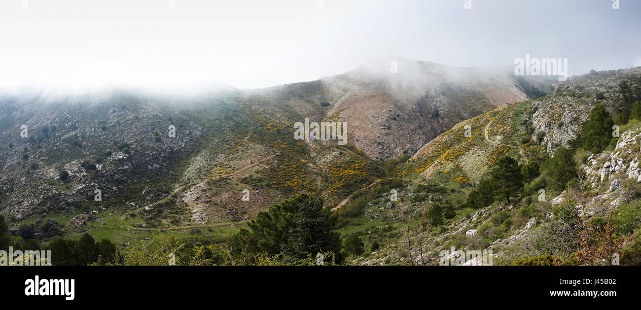 Scenic clouded mountain range at Valle del genal, Serranía de Ronda, Malaga, Spain. Stock Photo
