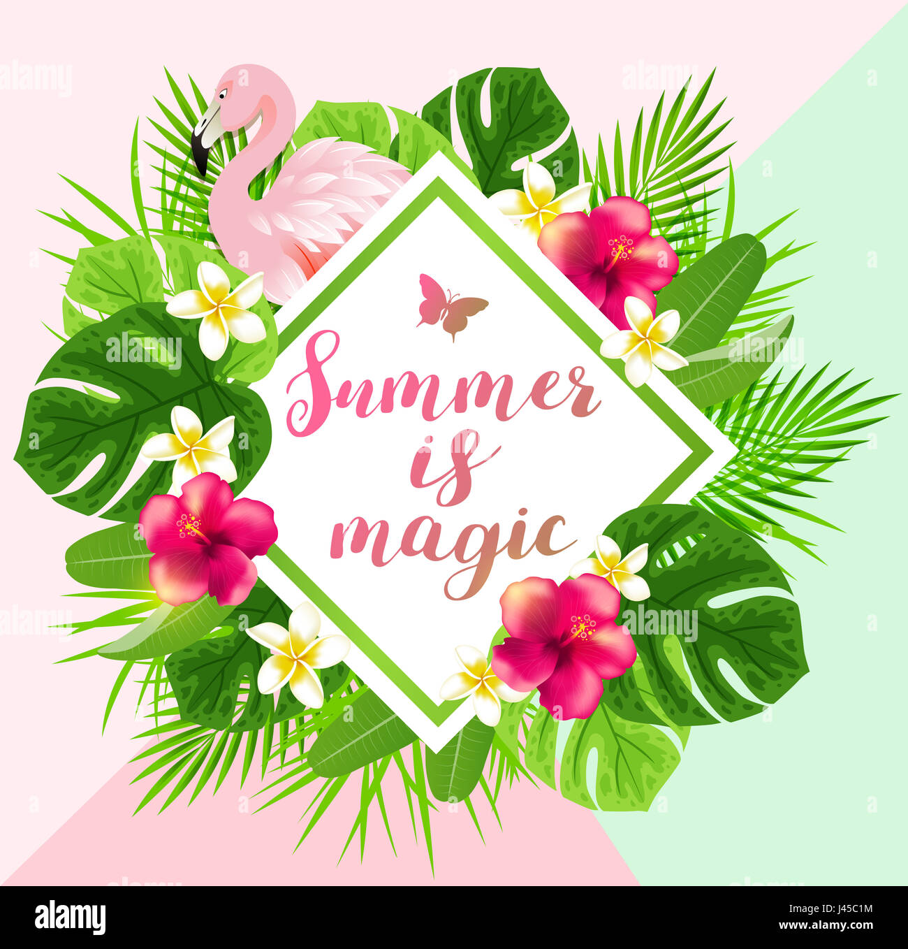 Summer background with red tropical flowers, green palm leaves and pink ...