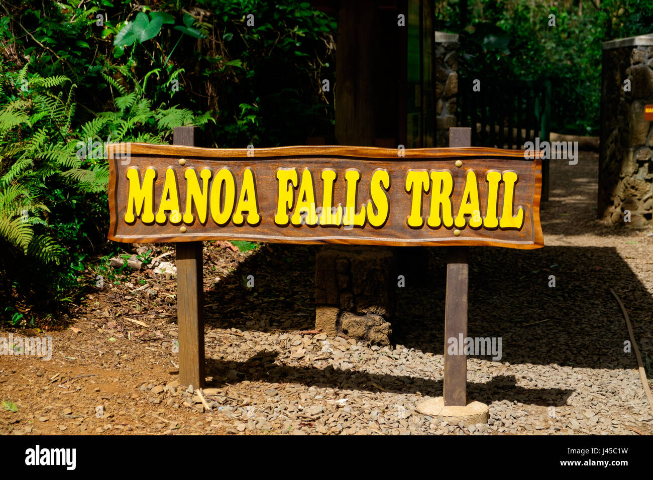 Manoa Falls Trail Hike Oahu Hawaii Stock Photo