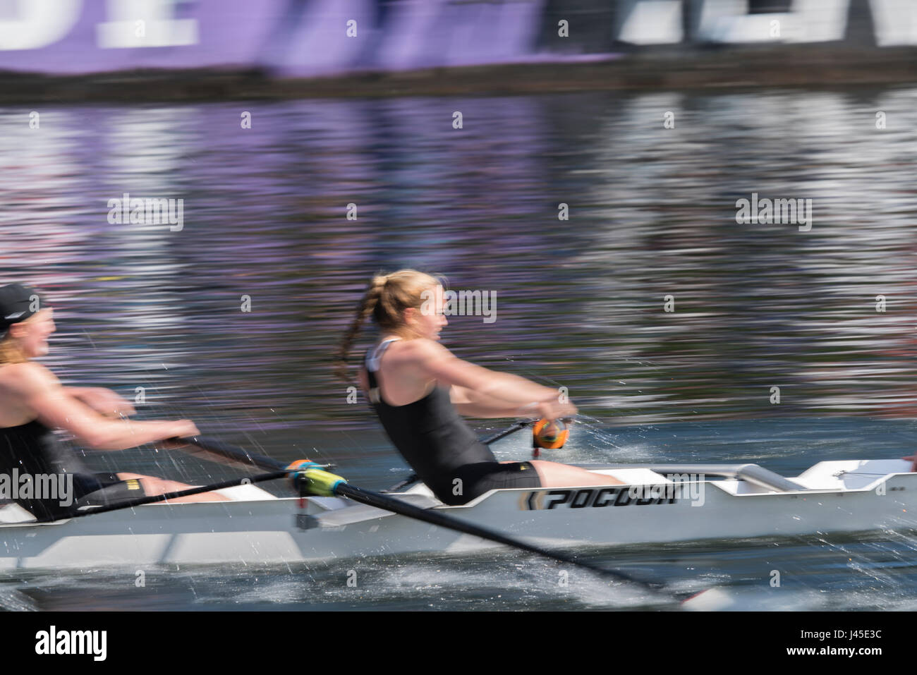 United States, Washington, Seattle, Crew race through Montlake Cut ...
