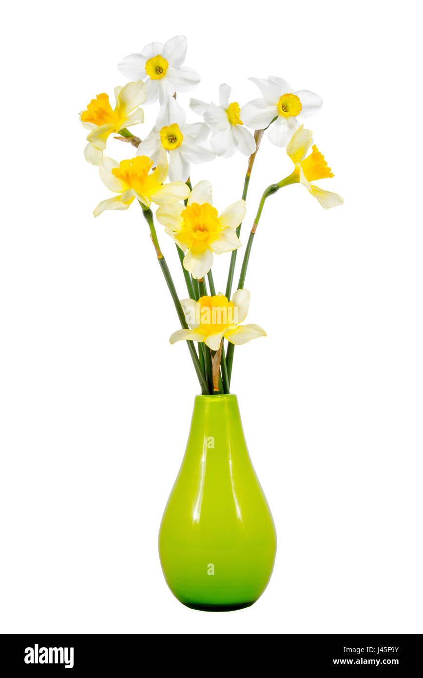 Image bouquet of daffodils on a white background Stock Photo - Alamy