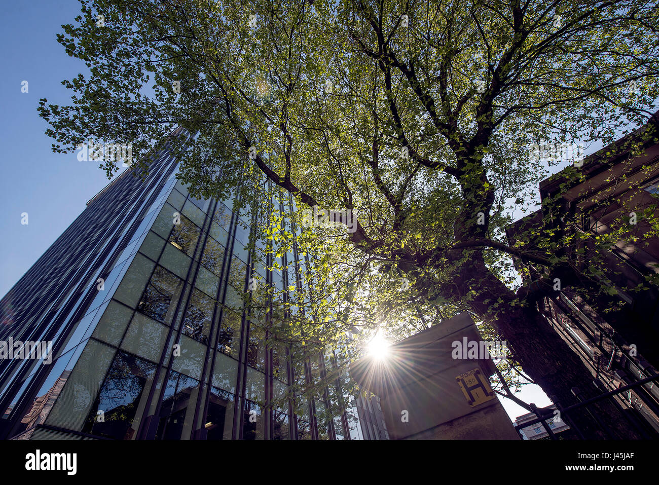 Manchester in spring manchester city centre uk manchester architecture ...