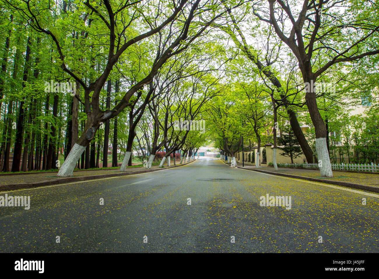 Bada Pass Scenery of Qingdao City,Shandong Province,China Stock Photo