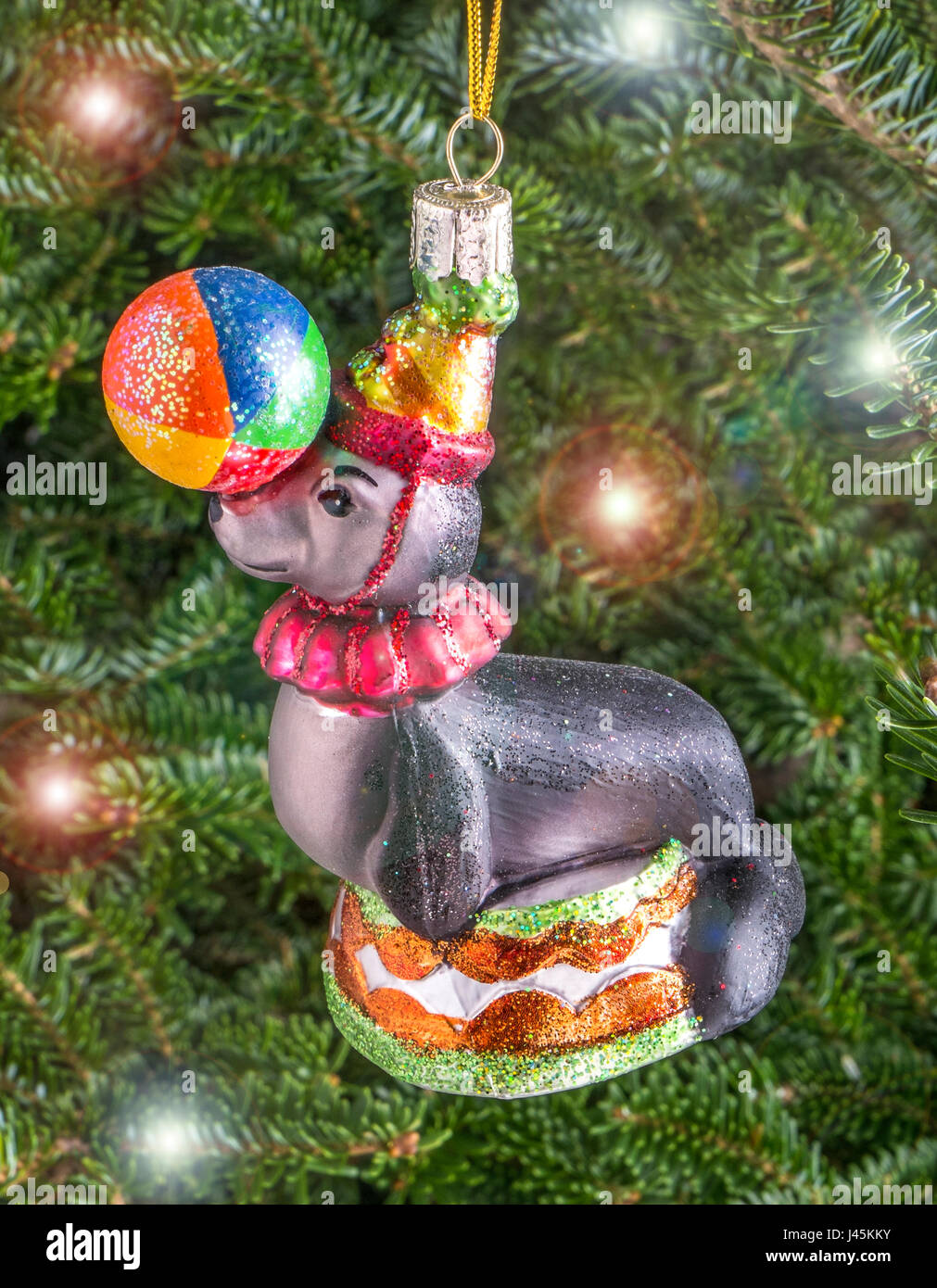 Christmas bauble hanging from a tree in the shape of a Circus Seal with Ball Stock Photo