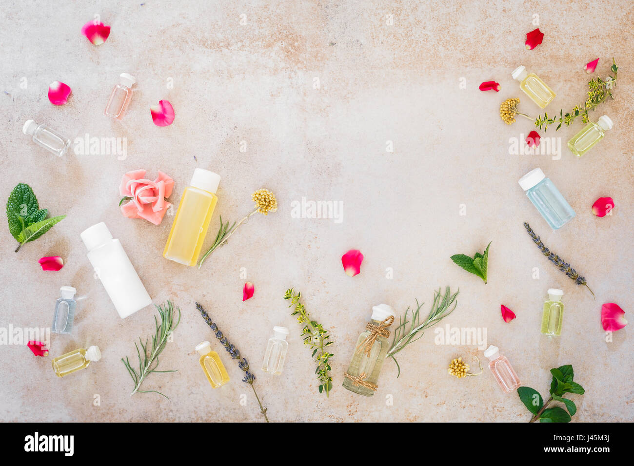 Various skincare oils,   fresh medicinal herbs  and flowers, for spa treatment, on concrete. Top view, blank space Stock Photo